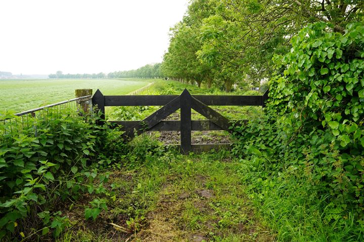 Bekijk foto 38 van Klittenweg 6