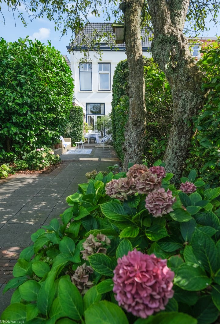 Foto 32 van Zuideinde 100