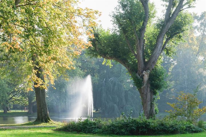 Bekijk foto 38 van Zuideinde 100