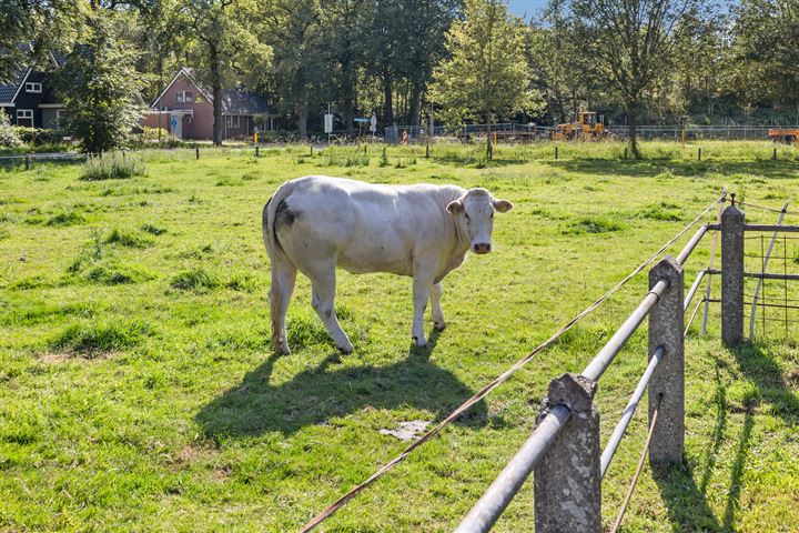 Bekijk foto 31 van Lemelerveldseweg 5