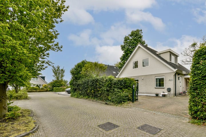 Foto 1 van Bruine Lijster 44