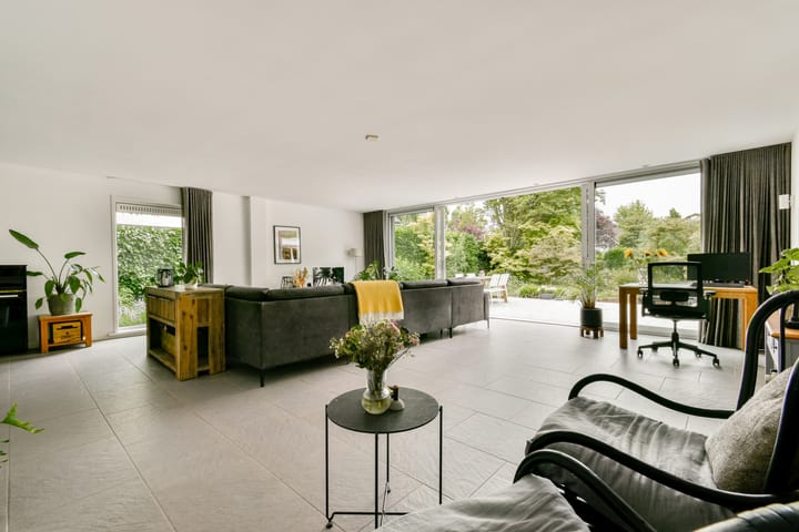 Foto 2 van Bruine Lijster 44