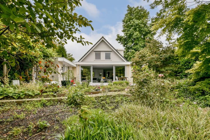 Foto 3 van Bruine Lijster 44