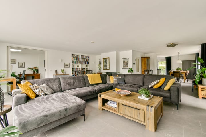 Foto 5 van Bruine Lijster 44