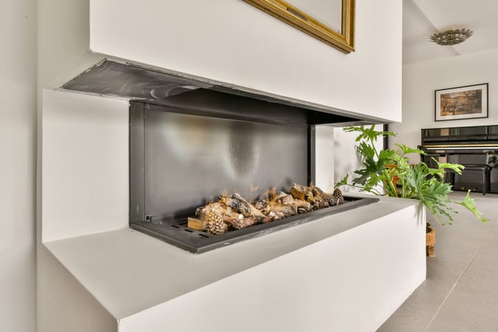 Foto 7 van Bruine Lijster 44