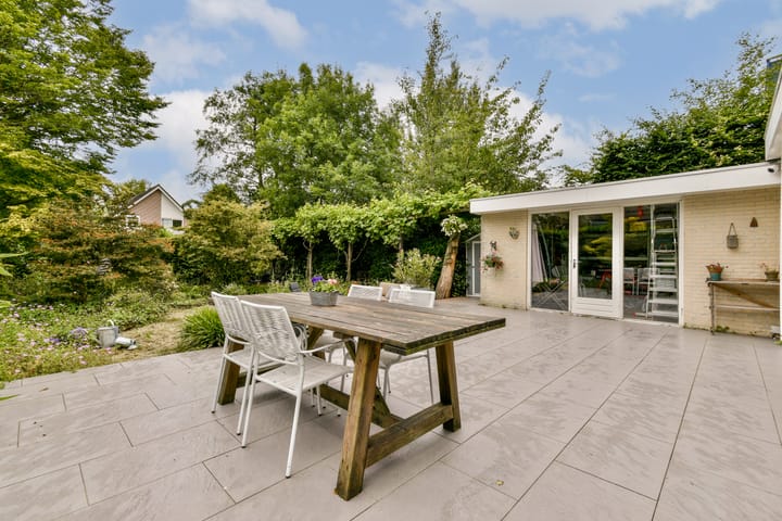 Foto 9 van Bruine Lijster 44