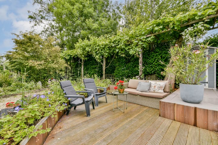 Foto 10 van Bruine Lijster 44