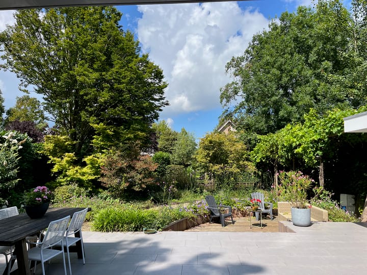 Foto 11 van Bruine Lijster 44