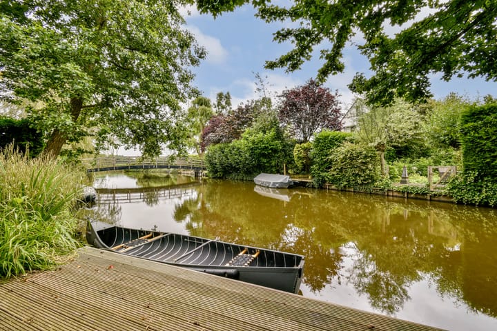 Foto 13 van Bruine Lijster 44