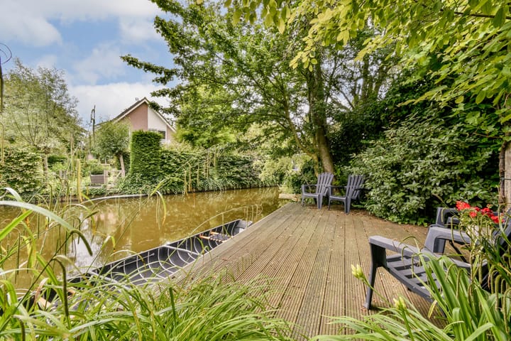 Foto 14 van Bruine Lijster 44