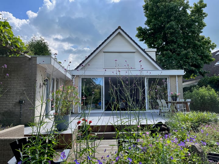 Foto 15 van Bruine Lijster 44