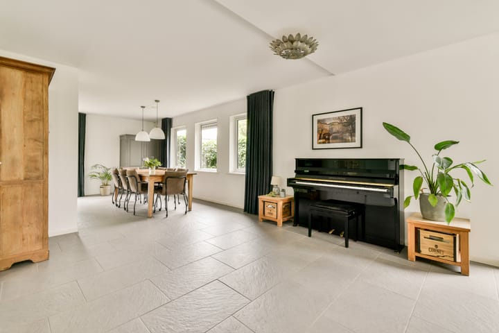 Foto 16 van Bruine Lijster 44