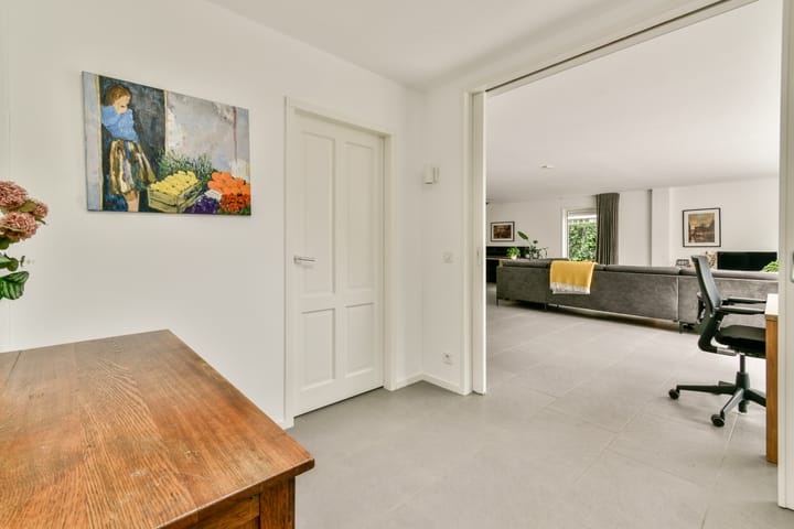 Foto 21 van Bruine Lijster 44