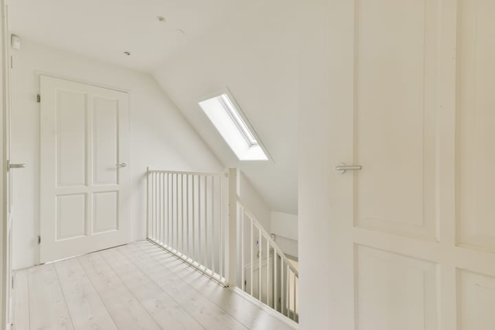 Foto 24 van Bruine Lijster 44