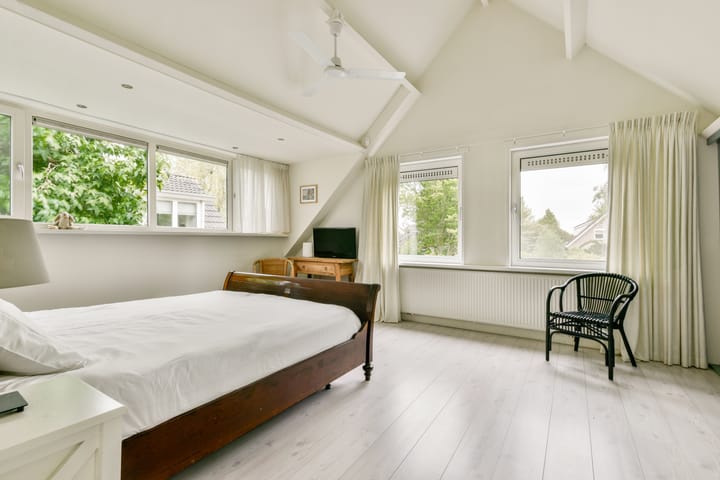 Foto 25 van Bruine Lijster 44