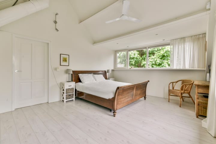 Foto 26 van Bruine Lijster 44