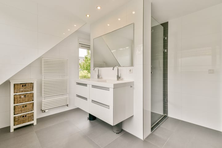 Foto 28 van Bruine Lijster 44