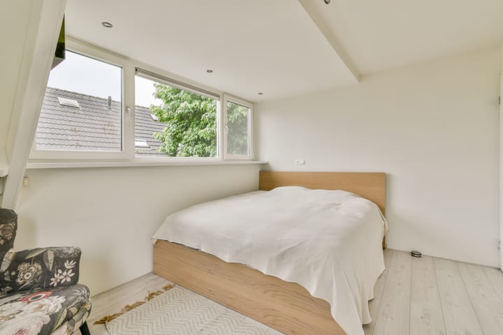 Foto 30 van Bruine Lijster 44