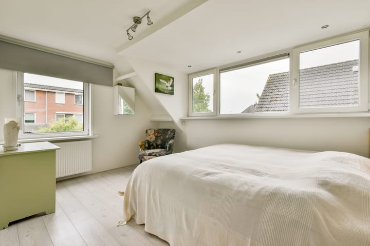 Foto 31 van Bruine Lijster 44