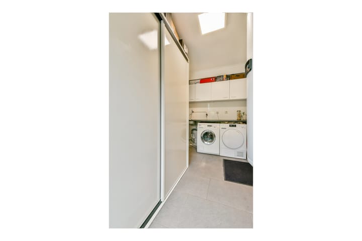 Foto 34 van Bruine Lijster 44