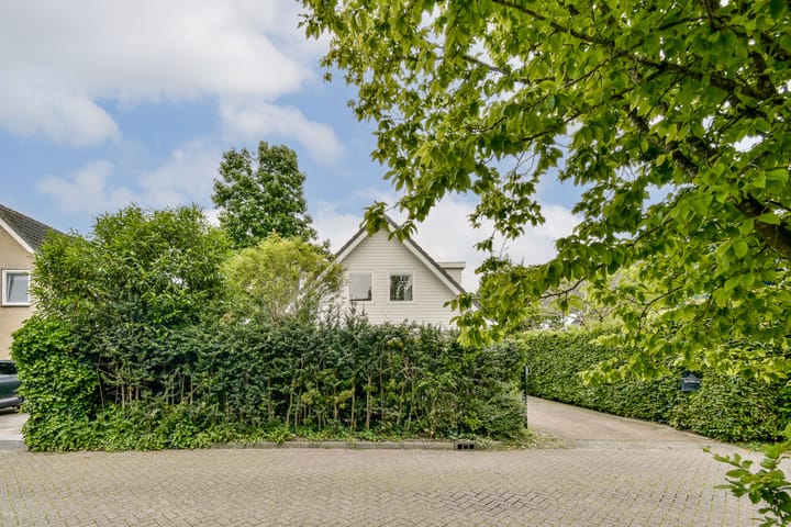 Foto 35 van Bruine Lijster 44