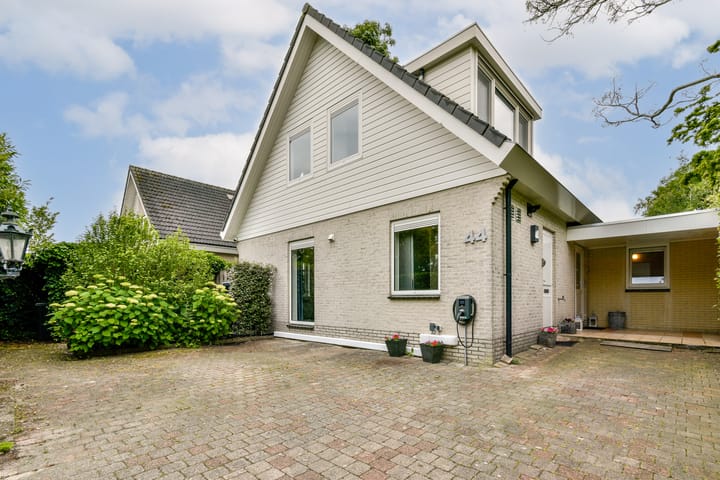 Foto 36 van Bruine Lijster 44