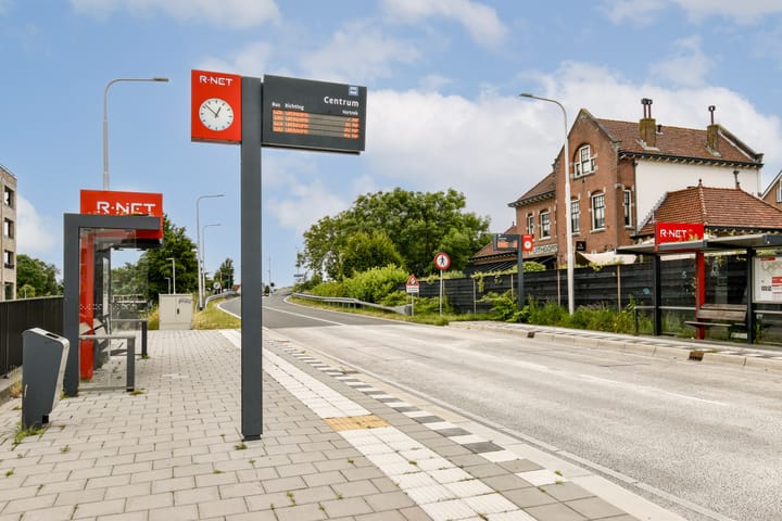 Foto 37 van Bruine Lijster 44