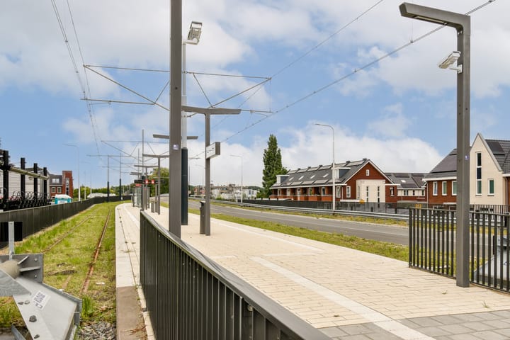 Foto 38 van Bruine Lijster 44