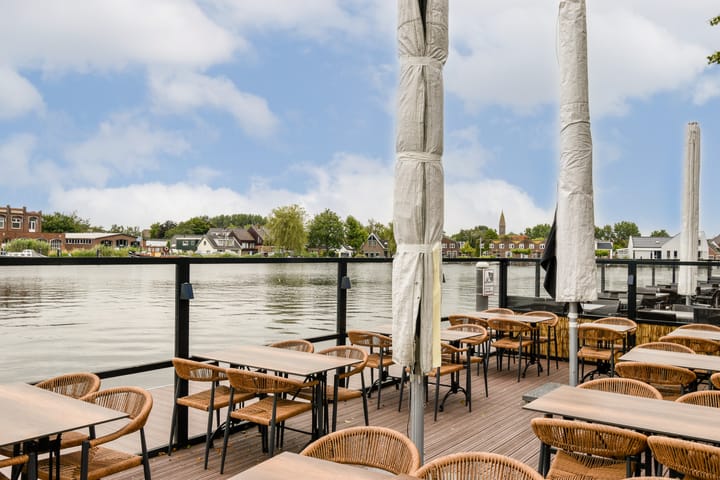 Foto 39 van Bruine Lijster 44