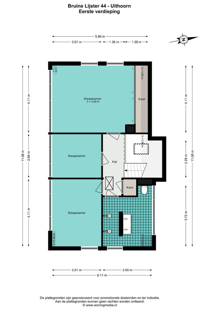 Foto 46 van Bruine Lijster 44