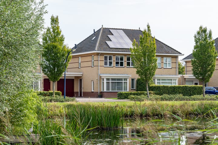 undefined main image