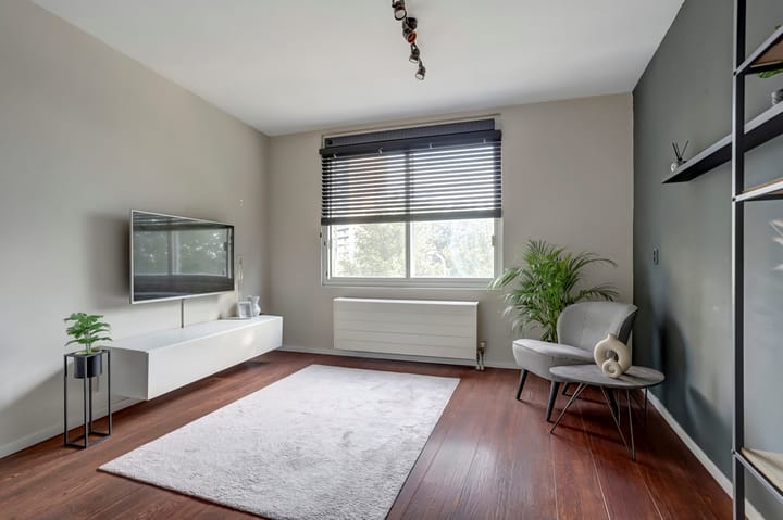 Foto 5 van Troelstrakade 895