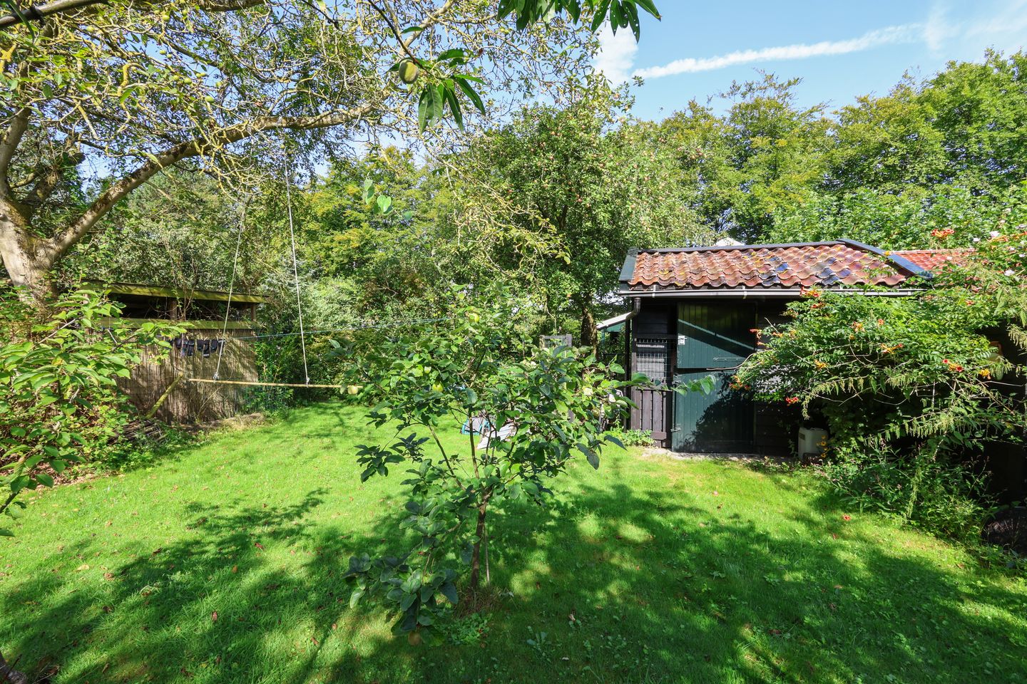 Photo 65 of Zwartelaan 6