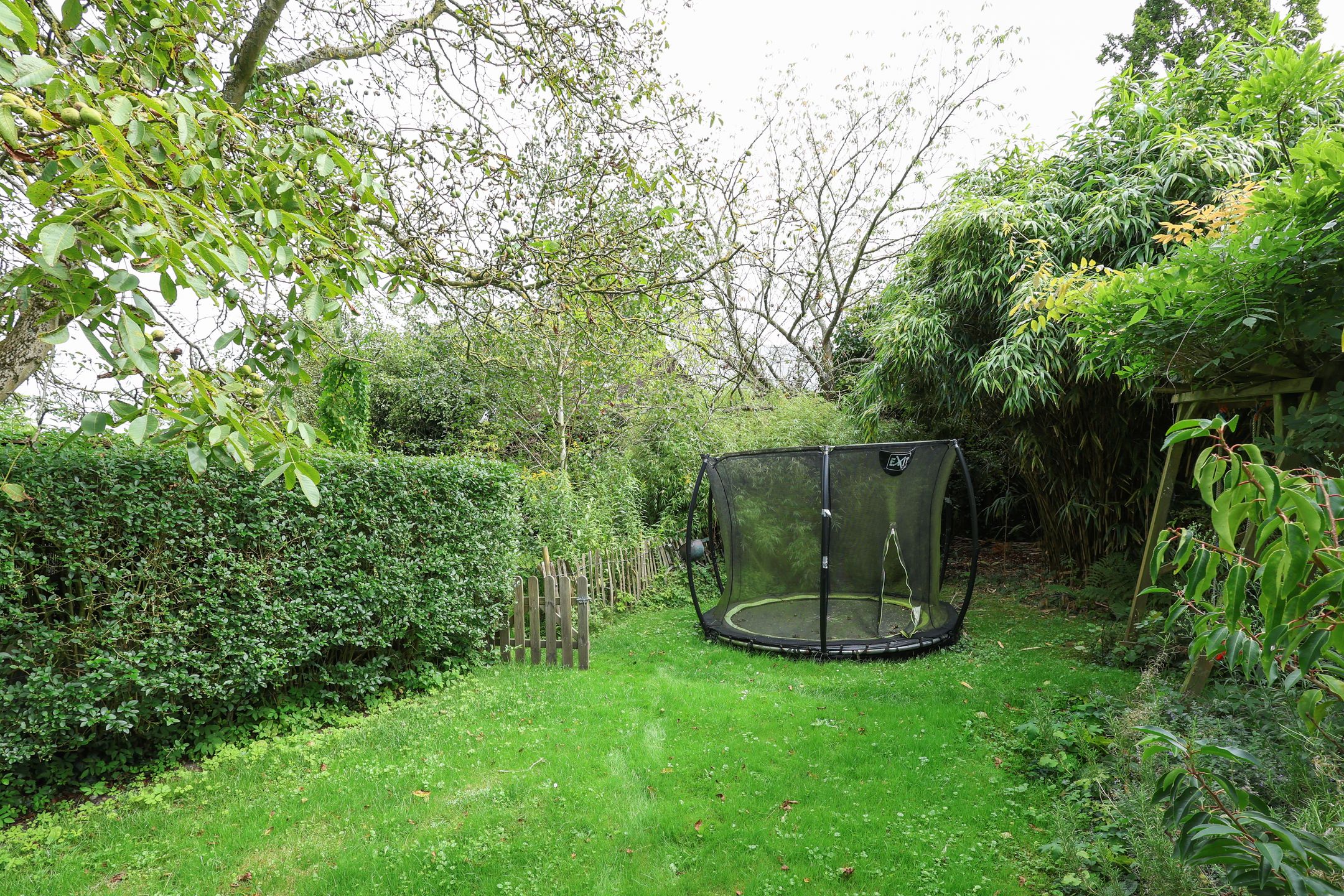 Photo 66 of Zwartelaan 6