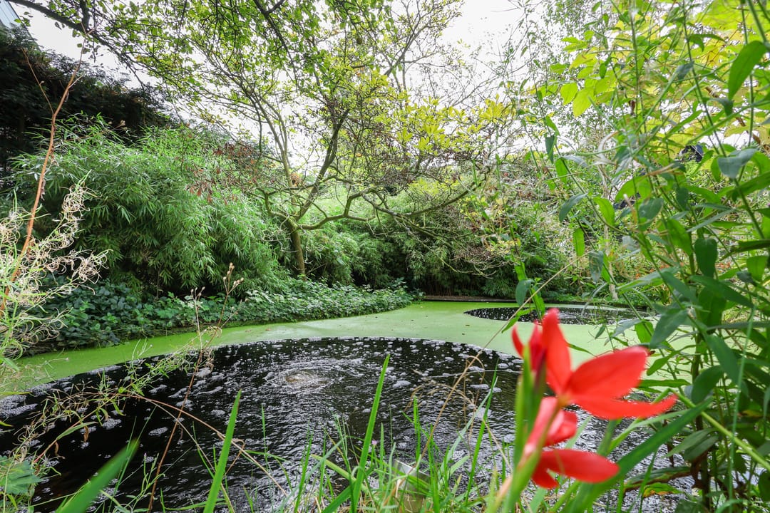 Photo 67 of Zwartelaan 6