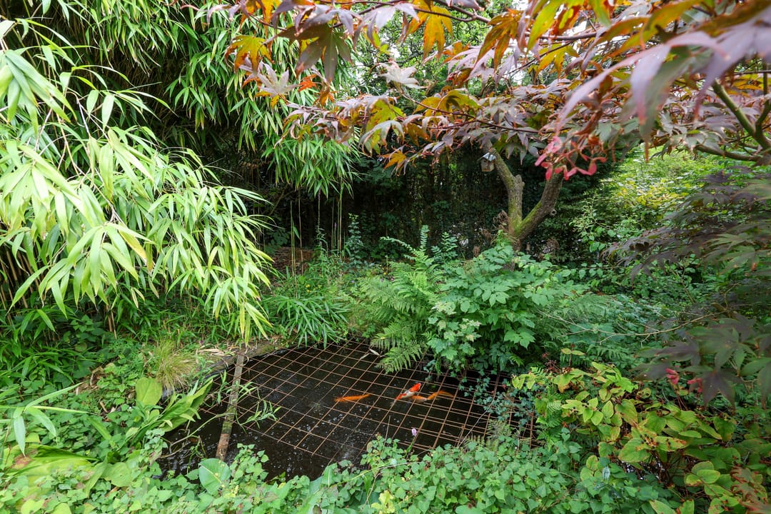 Photo 68 of Zwartelaan 6