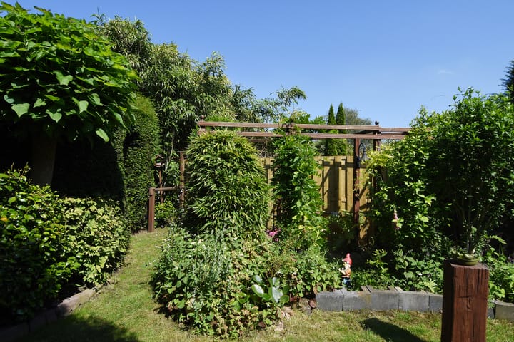 Foto 34 van Wijngaardenlaan 48