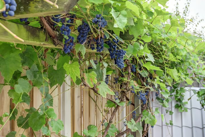 Foto 30 van 1e Wormenseweg 157-3