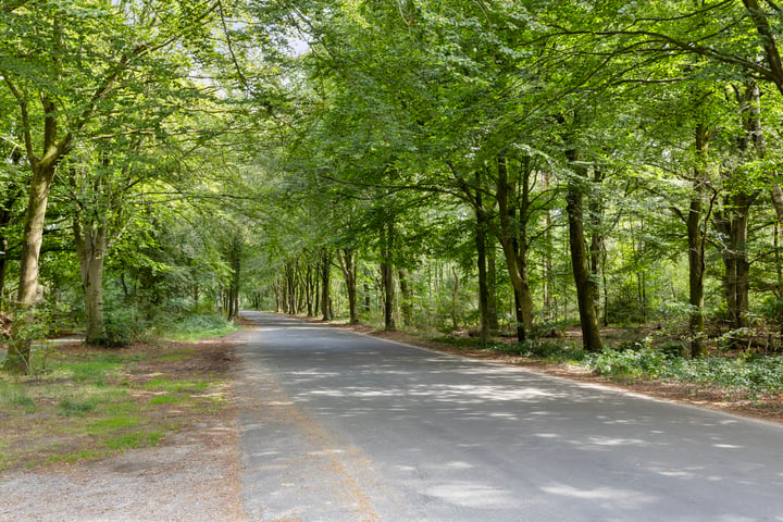 Bekijk foto 46 van Steenbakkersweg 7-372