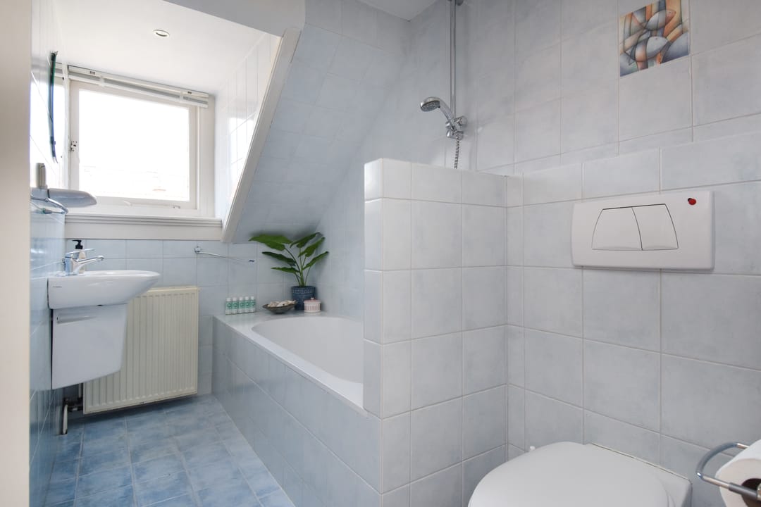 Foto 41 van Tomatenstraat 258