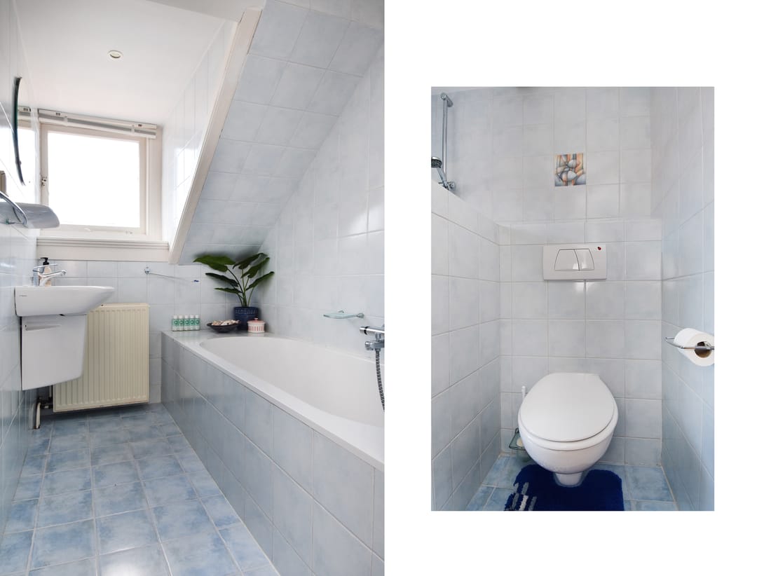 Foto 43 van Tomatenstraat 258