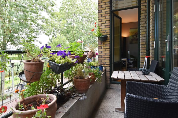 Foto 18 van Carel Reinierszkade 301