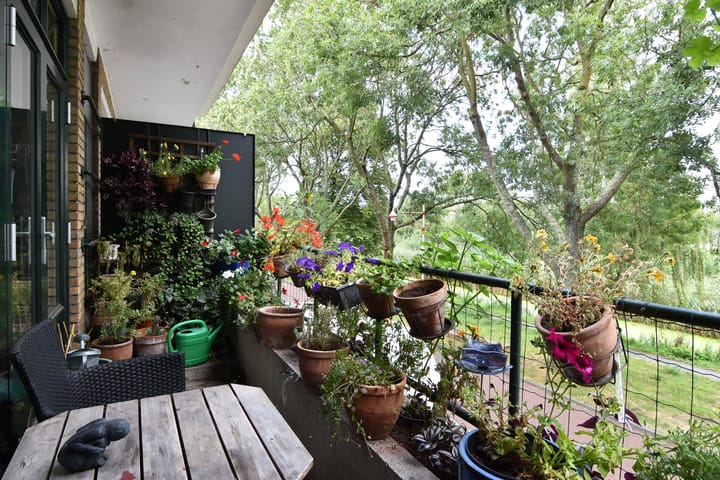 Foto 19 van Carel Reinierszkade 301