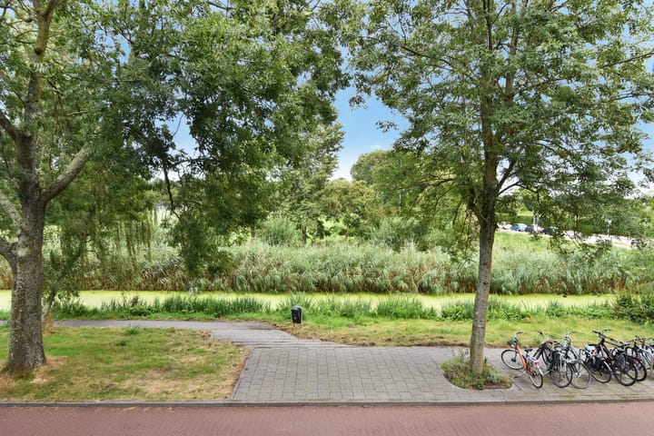 Foto 38 van Carel Reinierszkade 301