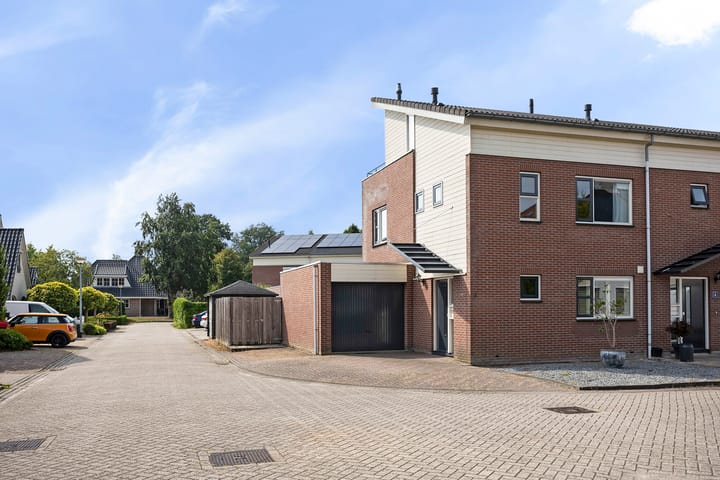 Foto 3 van Helmkruid 6