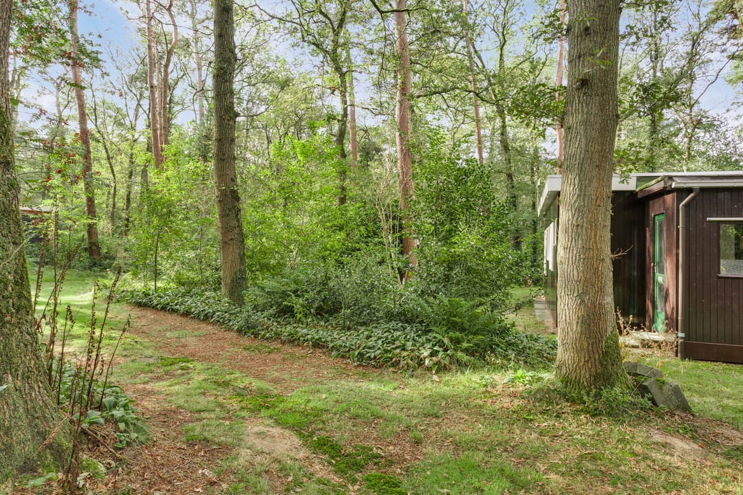 Foto 16 van Langeloërduinen 2 61