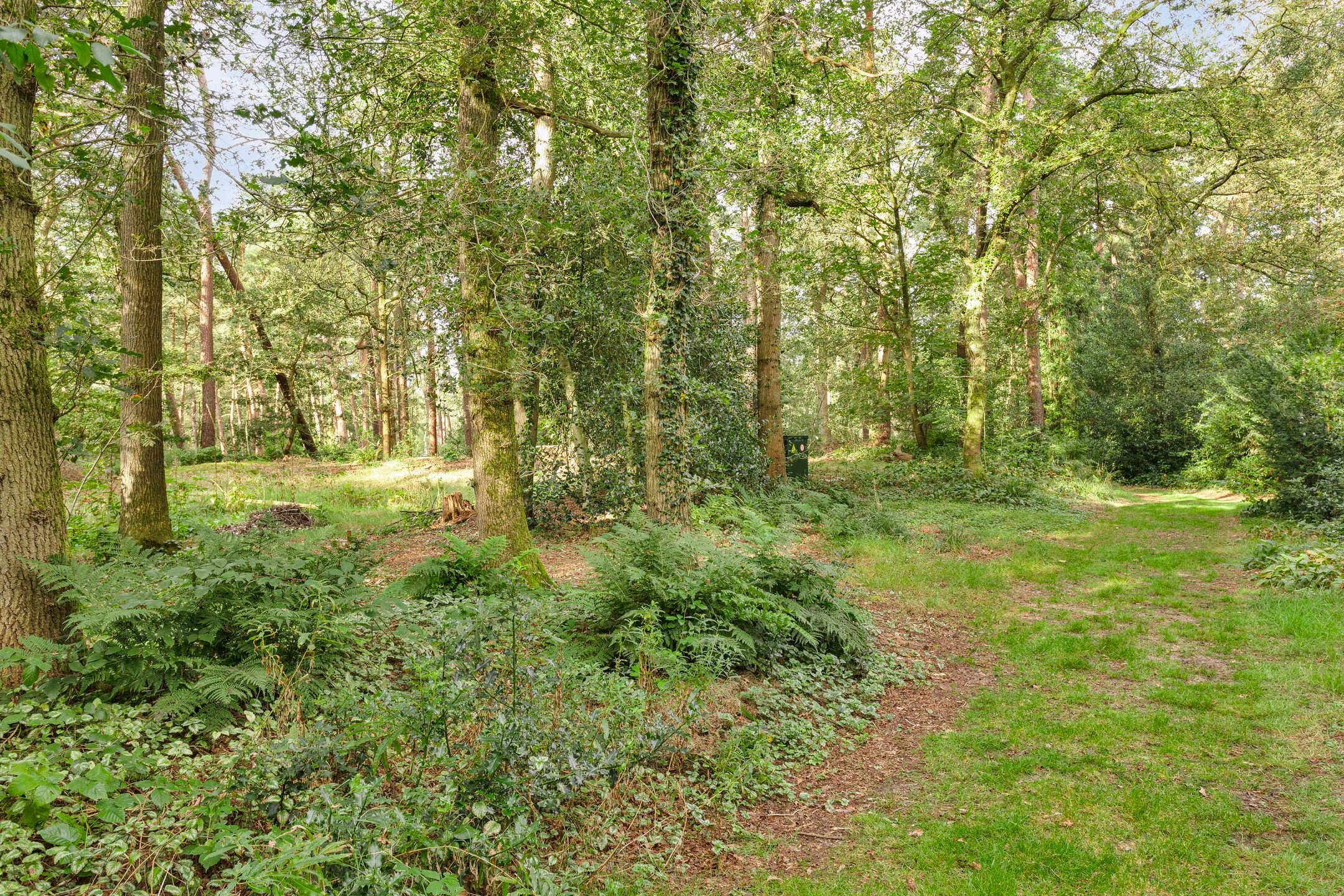 Foto 21 van Langeloërduinen 2 61