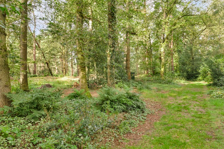 Photo 21 of Langeloërduinen 2 61