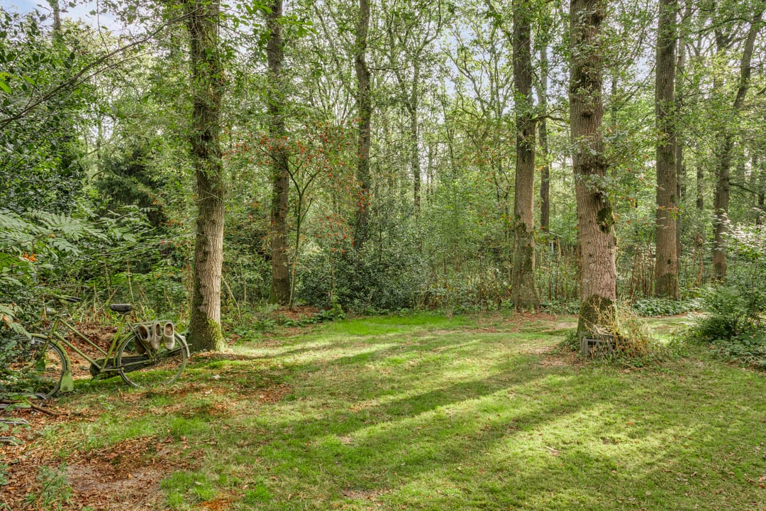 Foto 17 van Langeloërduinen 2 61