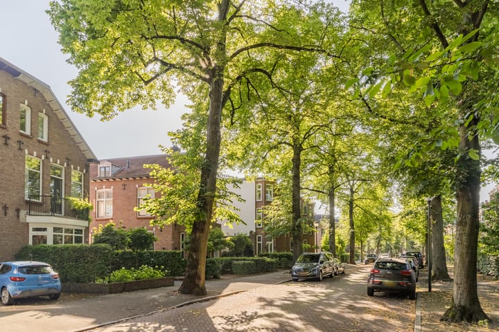 Foto 65 van Burgemeester Passtoorsstraat 32